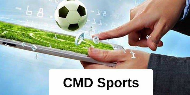 Yếu tố nào làm nên sự thành công sảnh CMD Sports
