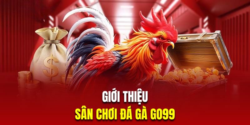 Đôi nét sảnh cung cấp đá gà trực tuyến Go99