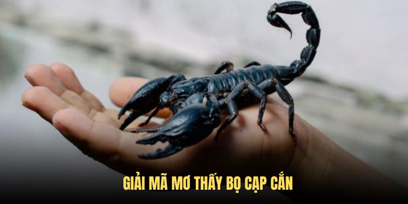 Giải mã giấc mộng bọ cạp cắn